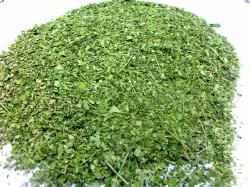 Ground moringa leaves